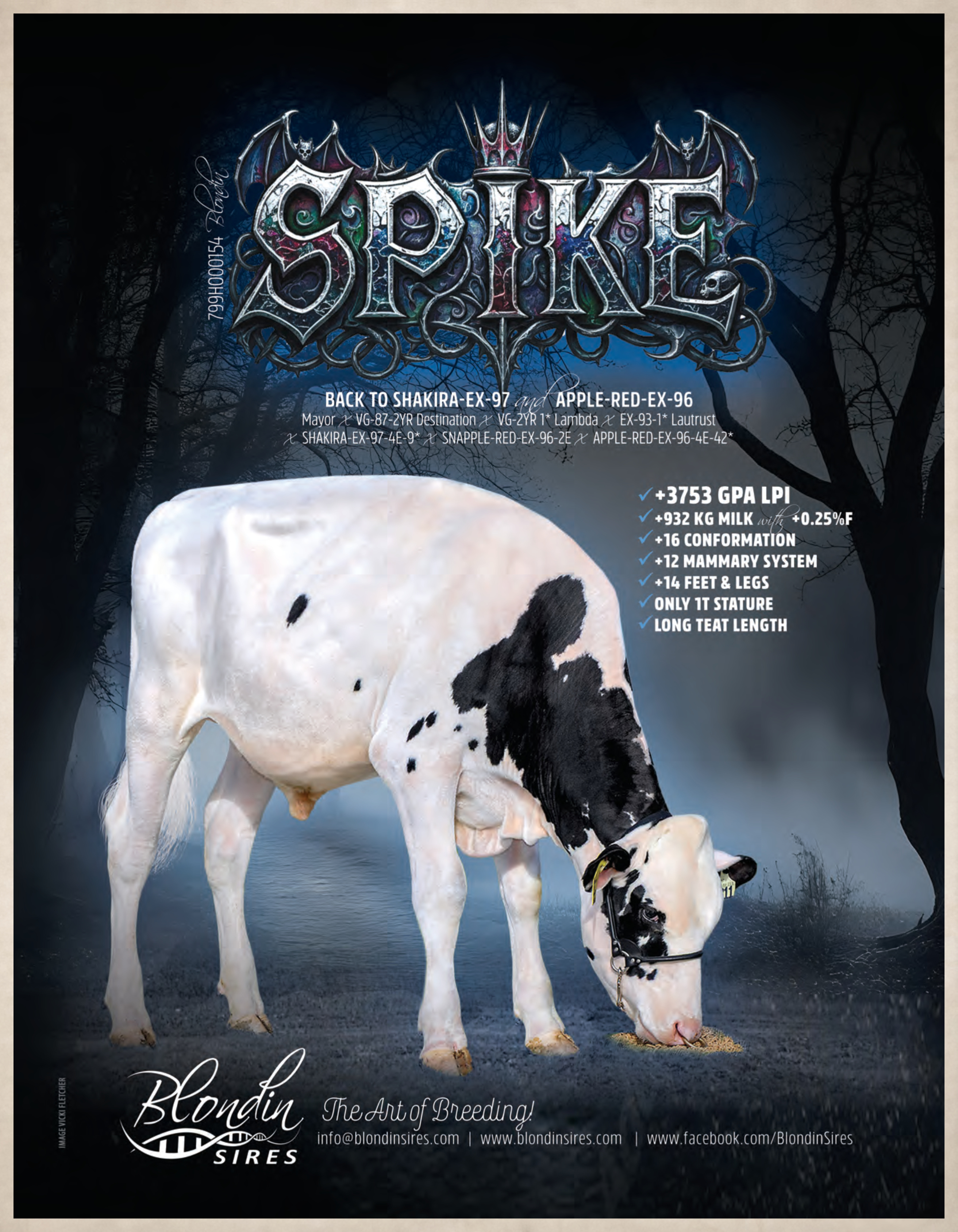 SPIKE — 799HO00154